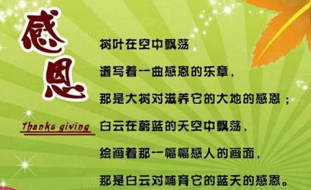 我为老师点赞-感谢师恩作文700字