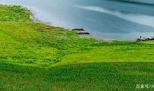 三年级小学生爱家乡作文：美丽的鸭绿江