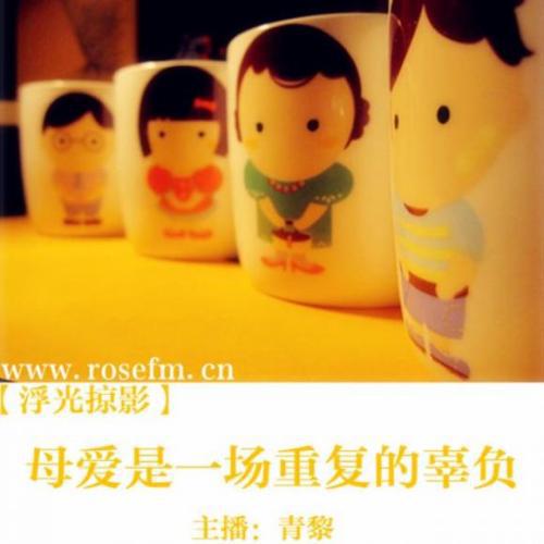 母爱是一场重复的辜负_1200字