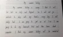 我的网友网友英语作文