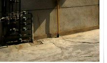 静下来，生活更精彩 安静的生活作文500字