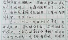 我的偶像-写人的作文550字