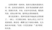 五年级借景抒情的作文800字