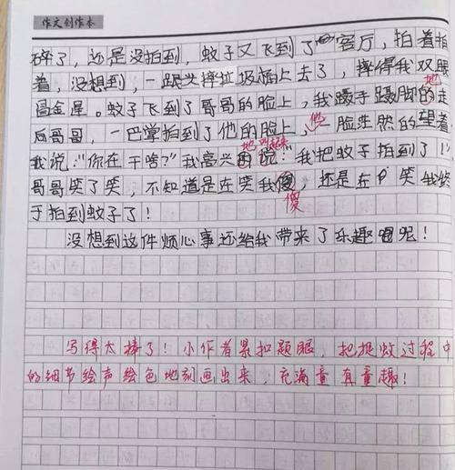 捉蚊趣事作文四年级500字