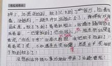 捉蚊趣事作文四年级500字