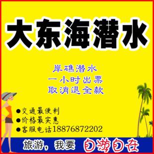 大东海的潜水 五年级旅游作文800字
