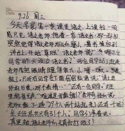 我的语文老师-写人的作文700字