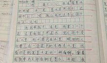 我有一幅画 初中生我的画作文500字