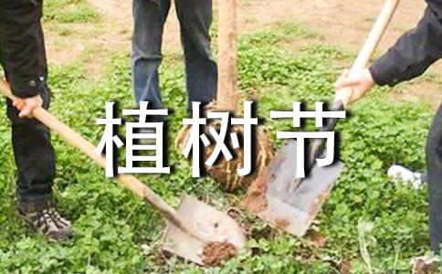 植树节的作文400字