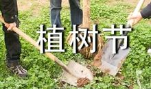 植树节的作文400字