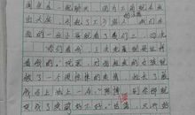 2017年中考作文赏析及点评：围墙外边（九）