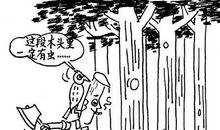 这段木头里一定有虫 观察漫画写作文500字