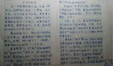 春节的故事-小学童话作文600字