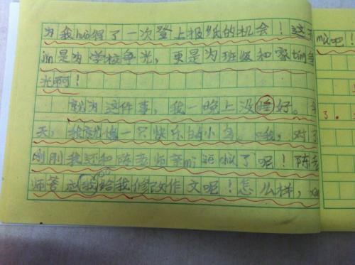 如此示范小学作文300字