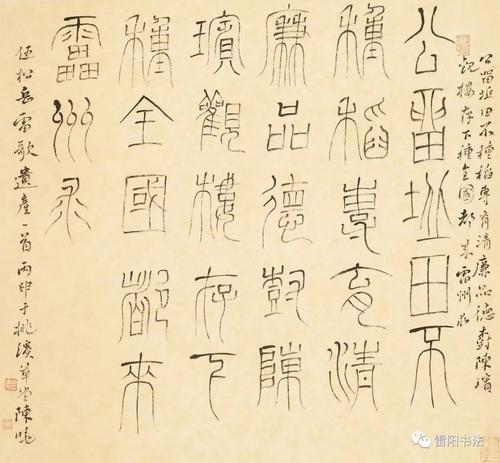“神”游樟树湾-小学生游记作文300字