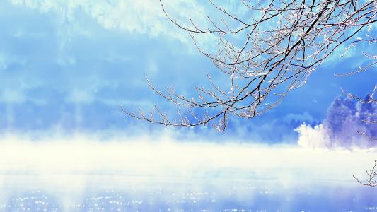 雪-冬日美景作文500字