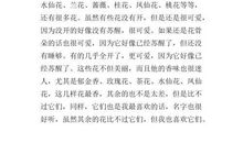 关于春天花的作文