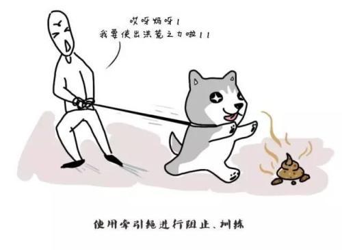 好马也吃回头草_400字