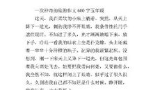 五年级神奇的探险之旅作文600字