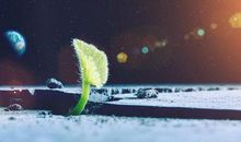 这六种开头方式，帮助你开好作文头