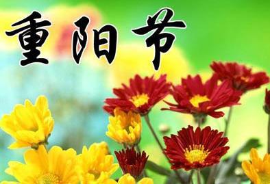 重阳节抒怀_450字