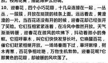 关于春天公园的作文五篇