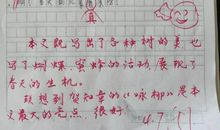 关于春天花园的作文