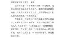 写与众不同的我作文