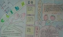 小学生重阳节手抄报内容