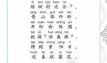 过故人庄-古诗改写作文300字