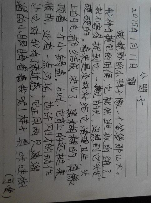 关于春天的小河作文五篇