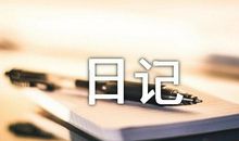 种黄豆的观察日记