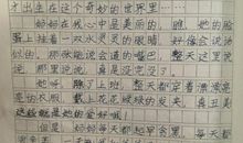 我的那一次盼望-优秀写事作文450字