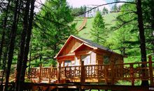 我的奇思妙想，会飞的木屋600字优秀作文，四年级的孩子快收藏