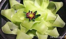 初三作文：不仅仅是一道菜