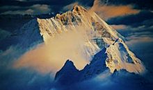 关于收获的作文：意外的收获_800字