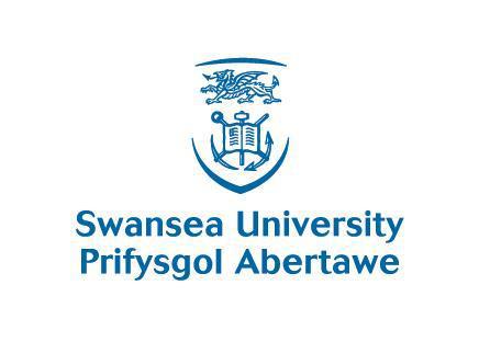 英国斯旺西大学
