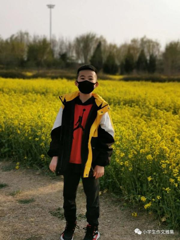 小学生作文|我的学习经验分享