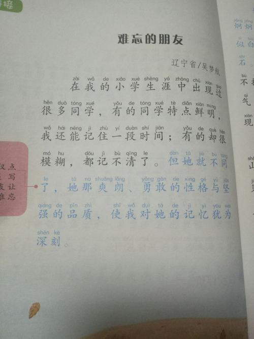 难忘的一个人-小学记叙文400字