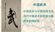 中国功夫-关于传统文化的作文450字