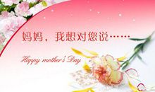 妈妈，请静待花开-我想对妈妈说作文500字