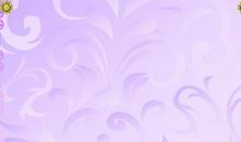 紫荆情缘 我和紫荆花的情缘900字作文