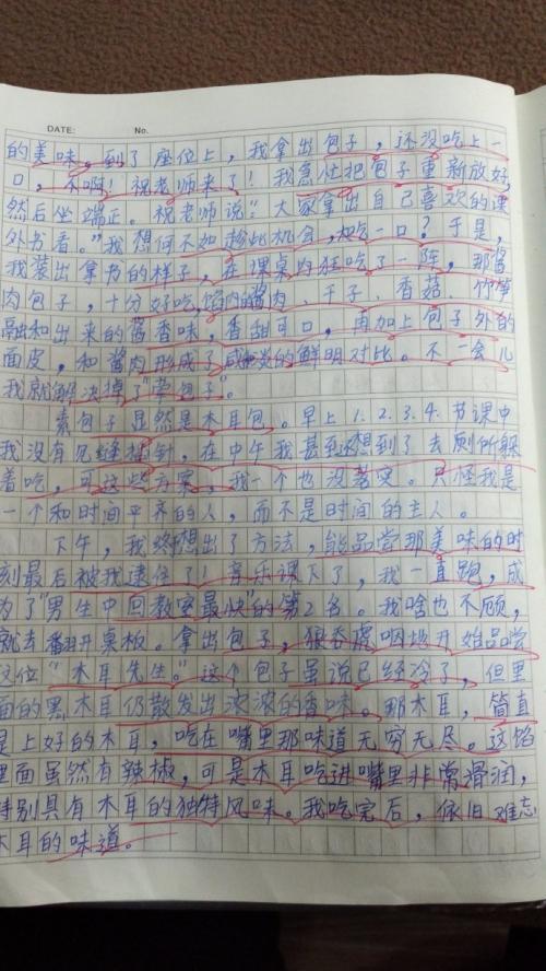 这地方真美-美丽的公园作文300字