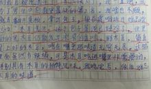 这地方真美-美丽的公园作文300字