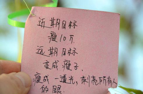 奋斗吧，少年 初中生励志作文500字