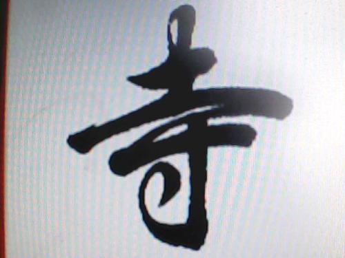 寒假见闻_1000字