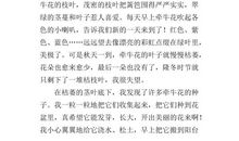 爸爸，请静特花开-给爸爸的一封信作文500字