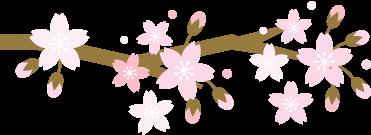 原创学生作文：《童年“傻”事之给母鸡“减肥”》 3