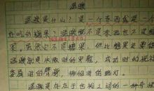 美好的记忆 初中记叙文800字