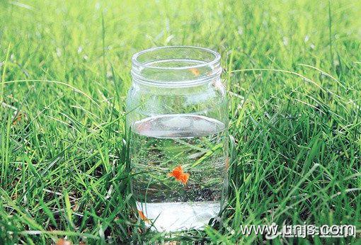 有关记忆的42个句子